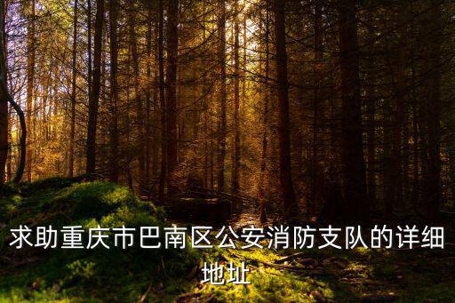 求助重慶市巴南區公安消防支隊的詳細地址