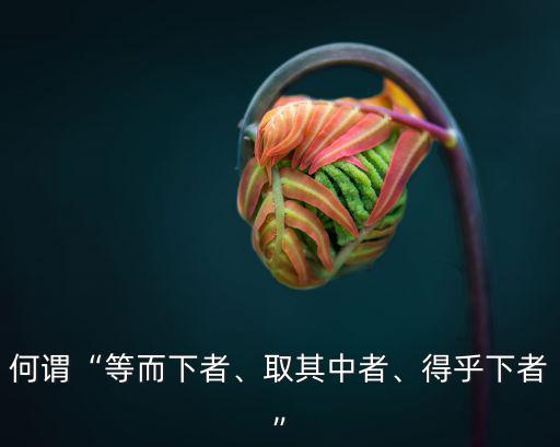 何謂“等而下者、取其中者、得乎下者”