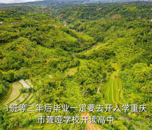 1班等二年后畢業一定要去開入學重慶市聾啞學校開讀高中