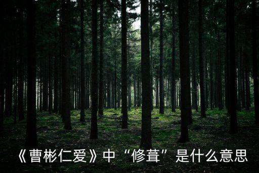 曹彬仁愛,曹彬仁愛翻譯及原文介紹