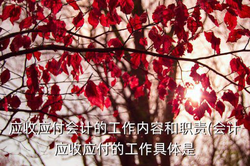 應收應付會計的工作內容和職責(會計應收應付的工作具體是