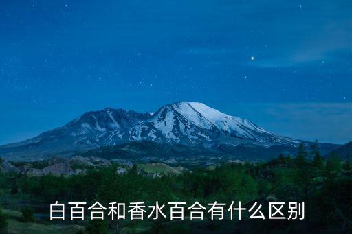 百合的圖片,水仙百合的花語:期待相逢什么樣的你?