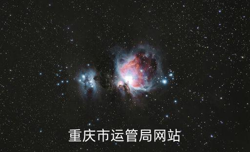 重慶市運管局網站