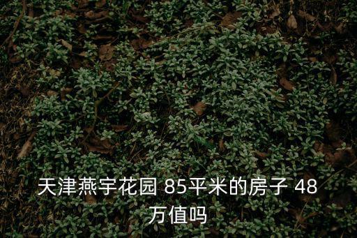 天津燕宇花園 85平米的房子 48萬值嗎