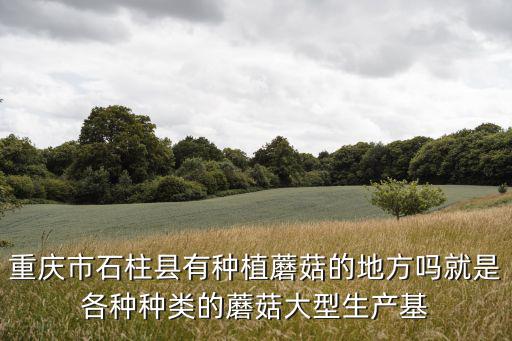 重慶市哪里有蘑菇種植基地，食用菌菌種重慶那里有呀