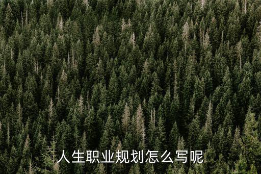 人生職業(yè)規(guī)劃怎么寫呢