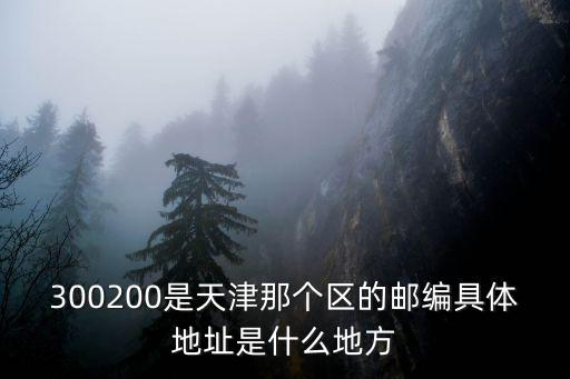 300200是天津那個區的郵編具體地址是什么地方