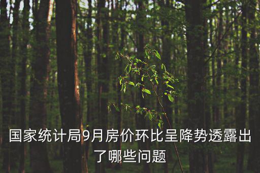 國(guó)家統(tǒng)計(jì)局9月房?jī)r(jià)環(huán)比呈降勢(shì)透露出了哪些問(wèn)題