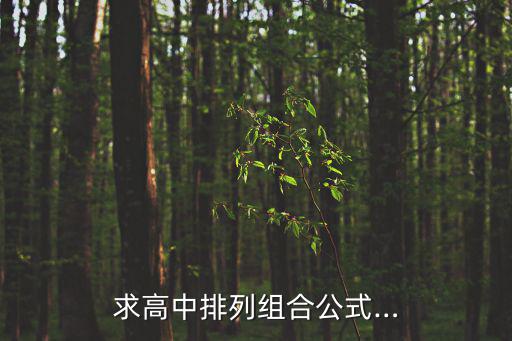 求高中排列組合公式…