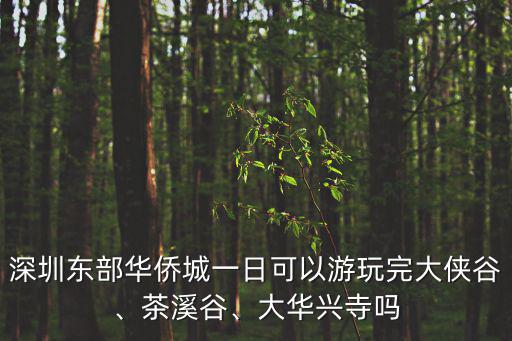 深圳東部華僑城一日可以游玩完大俠谷、茶溪谷、大華興寺嗎