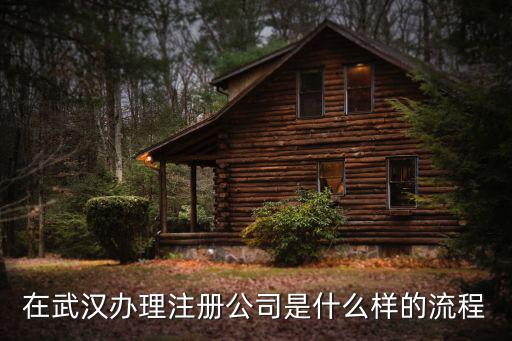 在武漢辦理注冊公司是什么樣的流程