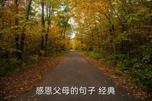 感恩父母的句子 經(jīng)典