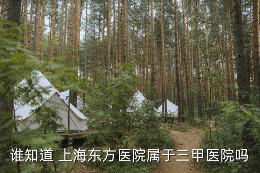 上海市東方醫(yī)院幾級，誰知道 上海東方醫(yī)院屬于三甲醫(yī)院嗎