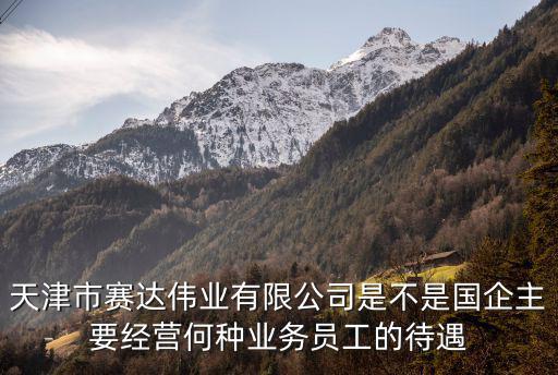 天津市賽達(dá)偉業(yè)有限公司是不是國企主要經(jīng)營何種業(yè)務(wù)員工的待遇