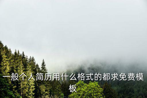 一般個人簡歷用什么格式的都求免費模板