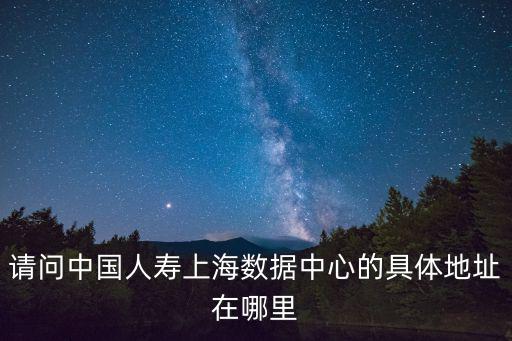 上海大數據中心股份有限公司，上海大數據公司都有哪些