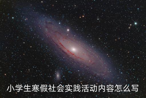 小學(xué)生寒假社會(huì)實(shí)踐活動(dòng)內(nèi)容怎么寫