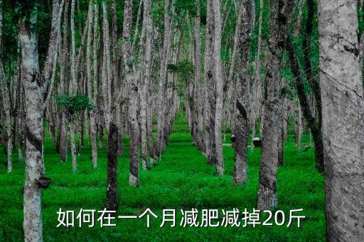 如何在一個(gè)月減肥減掉20斤