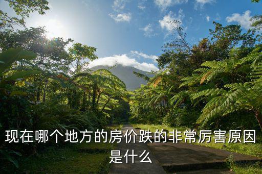 現在哪個地方的房價跌的非常厲害原因是什么
