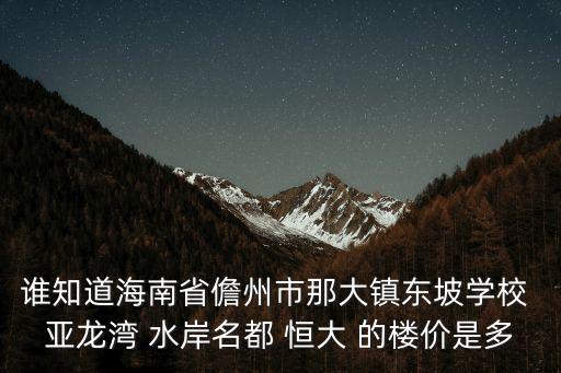 誰知道海南省儋州市那大鎮東坡學校 亞龍灣 水岸名都 恒大 的樓價是多