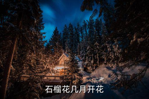 石榴花幾月開花