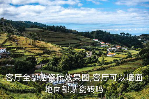 地磚效果圖家庭客廳,客廳地板磚拼花效果圖欣賞完美拼花