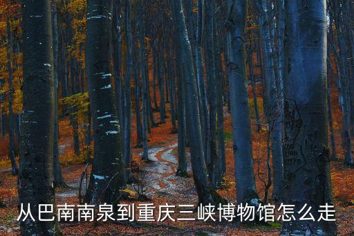 重慶市巴南知青博物館，從巴南南泉到重慶三峽博物館怎么走