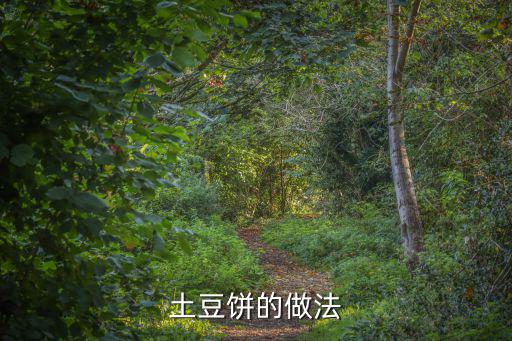 煎土豆餅的做法,土豆餅的做法土豆去皮切成小塊蒸熟放碟中