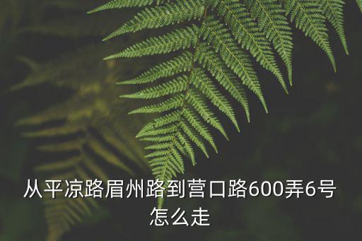 從平?jīng)雎访贾萋返綘I口路600弄6號怎么走