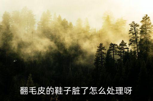 翻毛皮,毛茸茸的翻毛鞋怎么洗?這樣洗才能擦干凈