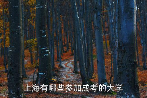上海有哪些參加成考的大學