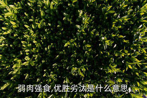 弱肉強食,優勝劣汰是什么意思