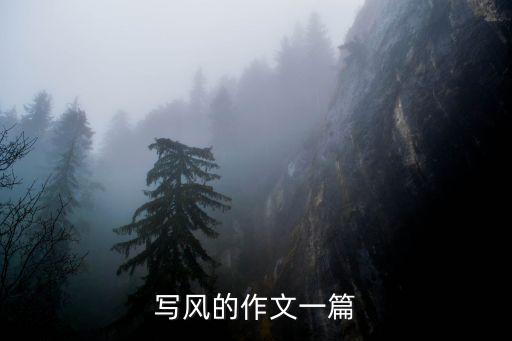 寫風(fēng)的作文一篇