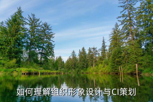 cis策劃,cici策劃要多少錢(qián)?