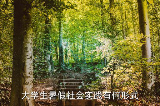 大學(xué)生暑假社會(huì)實(shí)踐有何形式