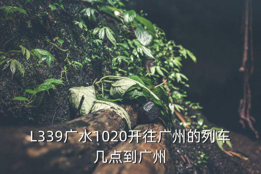 L339廣水1020開(kāi)往廣州的列車幾點(diǎn)到廣州