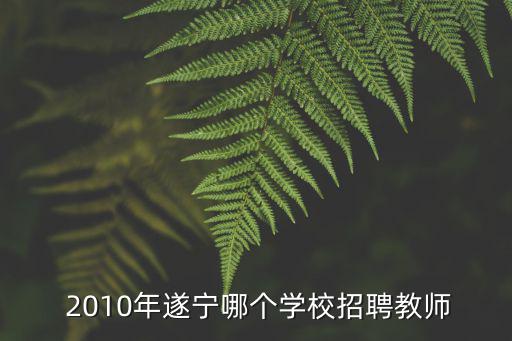  2010年遂寧哪個學校招聘教師
