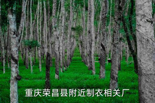 重慶榮昌縣附近制衣相關廠