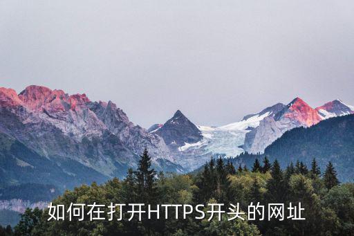 如何在打開HTTPS開頭的網(wǎng)址