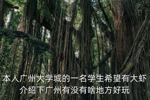 本人廣州大學城的一名學生希望有大蝦介紹下廣州有沒有啥地方好玩