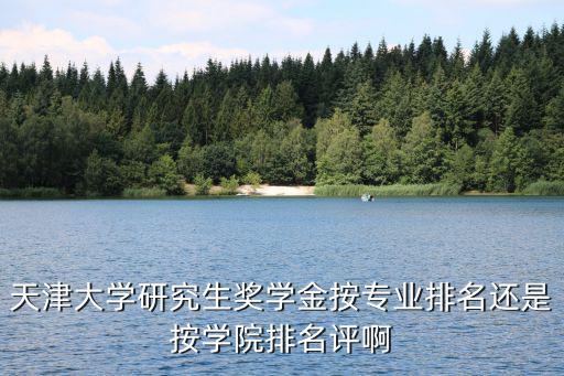 天津大學研究生獎學金按專業排名還是按學院排名評啊