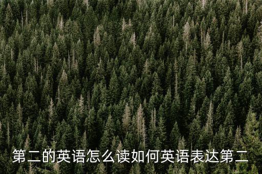 第二的英語怎么讀如何英語表達第二