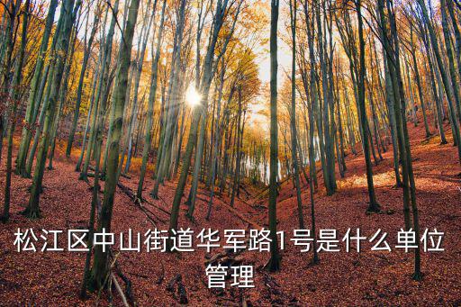 松江區中山街道華軍路1號是什么單位管理