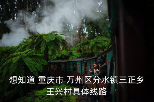 想知道 重慶市 萬(wàn)州區(qū)分水鎮(zhèn)三正鄉(xiāng)王興村具體線路