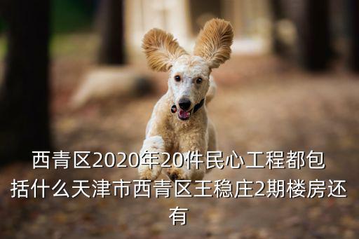西青區2020年20件民心工程都包括什么天津市西青區王穩莊2期樓房還有