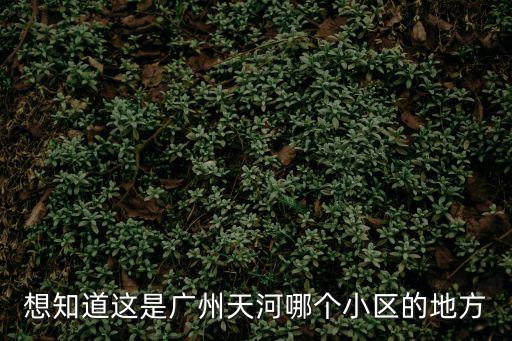 想知道這是廣州天河哪個小區(qū)的地方