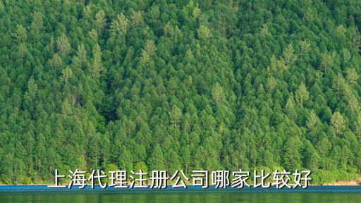 上海代理注冊公司哪家比較好