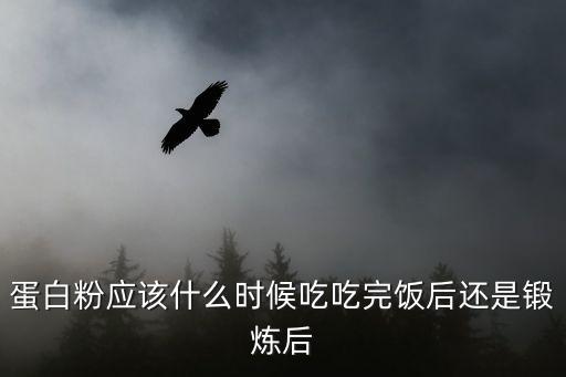 蛋白粉什么時候吃,什么時候吃蛋白粉好?看這里!