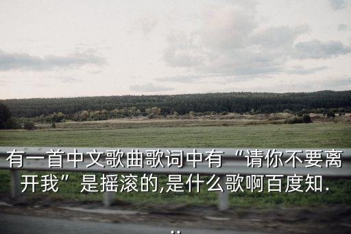 你不要離開(kāi)我,請(qǐng)你不要離開(kāi)我我的情人請(qǐng)你抱緊我