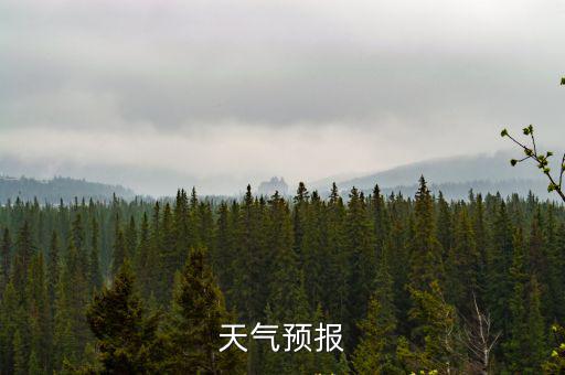 天氣預報
